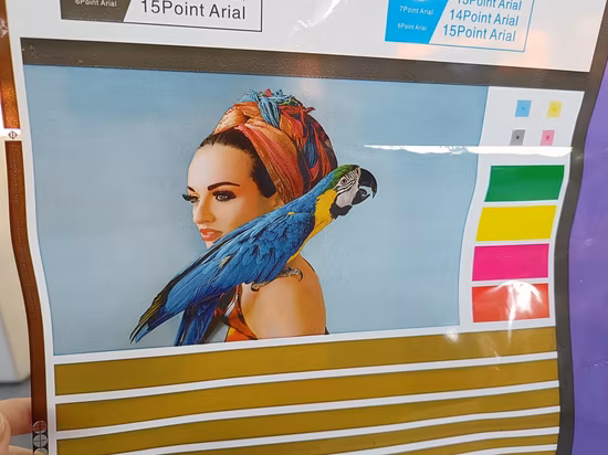 Impresora flexográfica de 2 colores